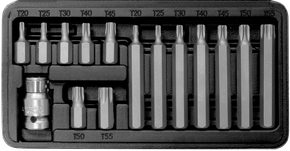 Bitsortiment, 3/8", T-Profil, T20-T55, 15-teilig